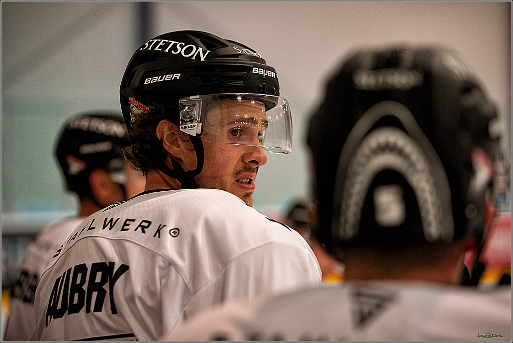 PENNY DEL;  Koelner Haie offenes Training; Koeln, 31.07.2022